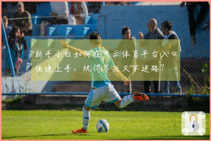 新手小白如何在开云体育平台入口快速上手，玩得尽兴又不迷路？